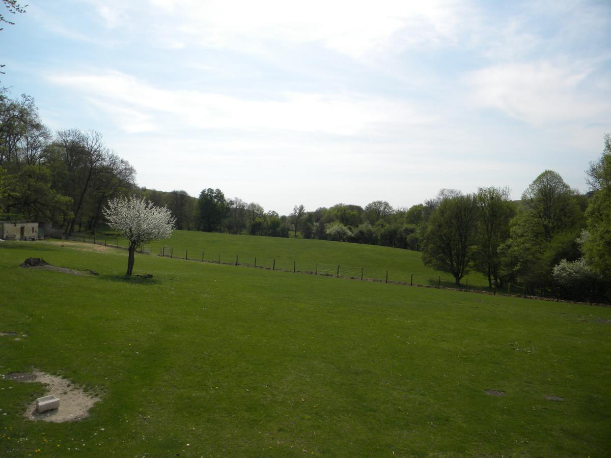 Gite Et Chambres D'Hotes Du Domaine Du Val Bruant Arc-en-Barrois Eksteriør bilde
